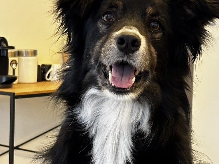 125 D73 B7 81 E6 47 BD 8915 88274 EA3 DD3 B 1 105 c